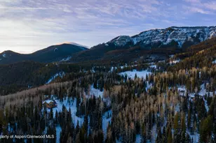 4901 Cimarron Mountain Rd, Cimarron, CO 81220 - Photo 23