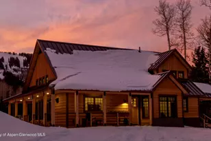 4901 Cimarron Mountain Rd, Cimarron, CO 81220 - Photo 3