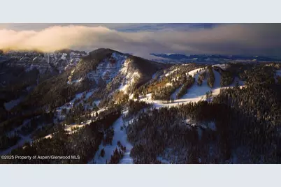 4901 Cimarron Mountain Road, Cimarron, CO 81220 - Photo 35