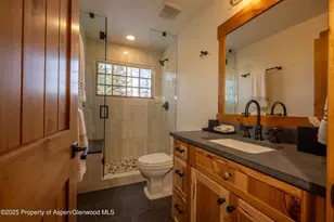 4901 Cimarron Mountain Rd, Cimarron, CO 81220 - Photo 15