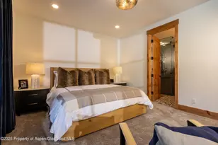 4901 Cimarron Mountain Rd, Cimarron, CO 81220 - Photo 11