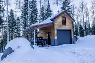 4901 Cimarron Mountain Rd, Cimarron, CO 81220 - Photo 19