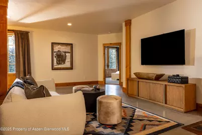 4901 Cimarron Mountain Road, Cimarron, CO 81220 - Photo 17