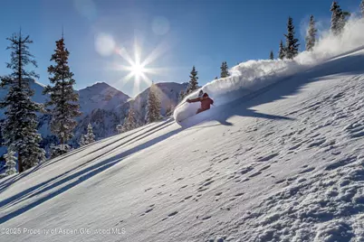 4901 Cimarron Mountain Road, Cimarron, CO 81220 - Photo 37