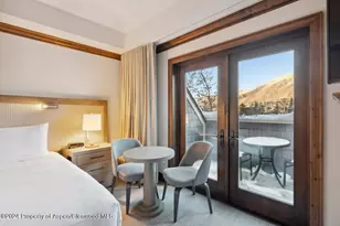 415 E Dean St Unit 16 Week 9, Aspen, CO 81611 - Photo 17