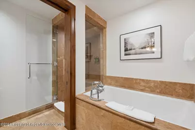 415 E Dean St., Unit 16, Week 9, Aspen, CO 81611 - Photo 21