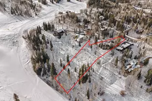 1248 Wood Rd, Snowmass Village, CO 81615 - Photo 45