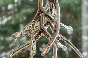 1248 Wood Rd, Snowmass Village, CO 81615 - Photo 13