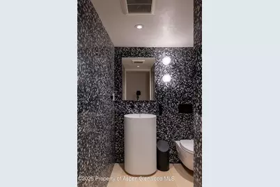 609 W Francis Street, Aspen, CO 81611 - Photo 31