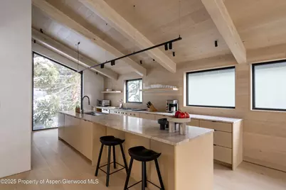 609 W Francis Street, Aspen, CO 81611 - Photo 9