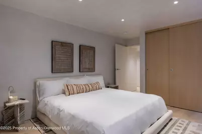 609 W Francis Street, Aspen, CO 81611 - Photo 29