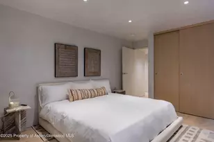 609 W Francis St, Aspen, CO 81611 - Photo 29