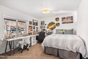 326 Midland Ave, Aspen, CO 81611 - Photo 5