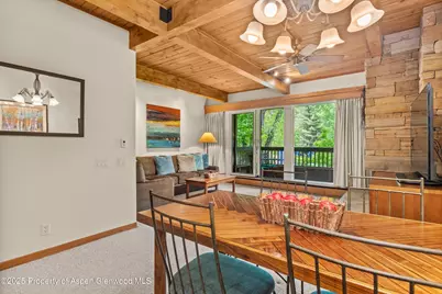 610 S West End Street #J204, Aspen, CO 81611 - Photo 7