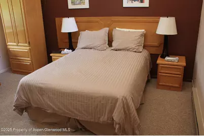 232 W Hyman Avenue #11 (wks. 4,8,39), Aspen, CO 81611 - Photo 7