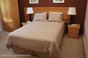 232 W Hyman Ave, Aspen, CO 81611 - Photo 7