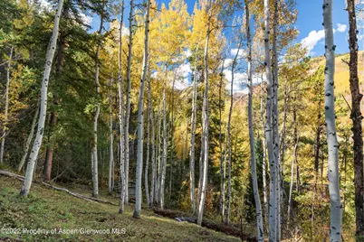 Tbd Exhibition Lane #Lot 13, Aspen, CO 81611 - Photo 21