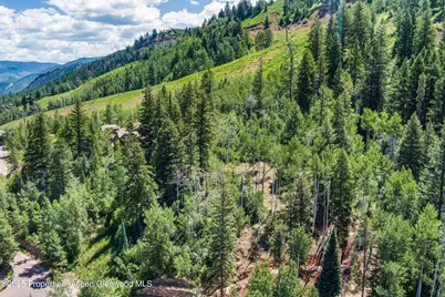 Tbd Exhibition Lane #Lot 13, Aspen, CO 81611 - Photo 15