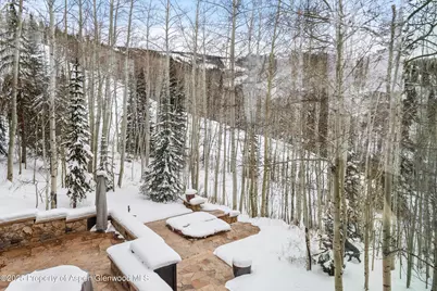 1777 Wood Road, Snowmass Village, CO 81615 - Photo 23