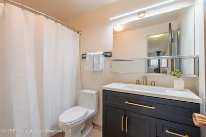 700 S Monarch Street #207, Aspen, CO 81611 - Photo 9