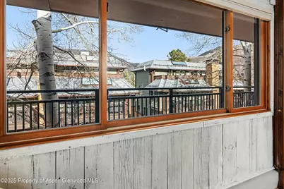 700 S Monarch Street #207, Aspen, CO 81611 - Photo 3