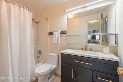 700 S Monarch Street #207, Aspen, CO 81611 - Photo 9