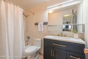 700 S Monarch St, Aspen, CO 81611 - Photo 9