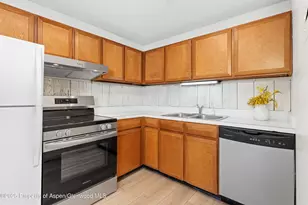 700 S Monarch St, Aspen, CO 81611 - Photo 11