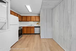 700 S Monarch St, Aspen, CO 81611 - Photo 11
