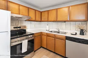 700 S Monarch St, Aspen, CO 81611 - Photo 7