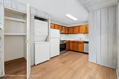 700 S Monarch Street #207, Aspen, CO 81611 - Photo 5