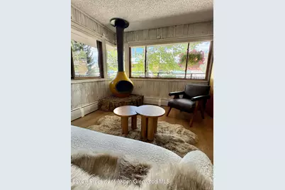 700 S Monarch Street #207, Aspen, CO 81611 - Photo 1