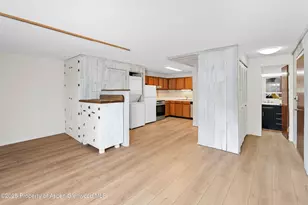 700 S Monarch St, Aspen, CO 81611 - Photo 7