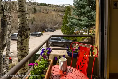 35 Lower Woodbridge Road #Z-195, Snowmass Village, CO 81615 - Photo 19