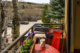 35 Lower Woodbridge Rd, Snowmass Village, CO 81615 - Photo 19