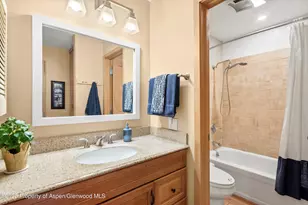 35 Lower Woodbridge Rd, Snowmass Village, CO 81615 - Photo 15