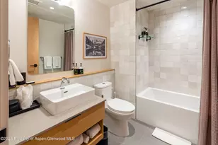 119 Wood Rd, Snowmass Village, CO 81615 - Photo 13