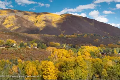 1050 Cemetery Lane, Aspen, CO 81611 - Photo 13