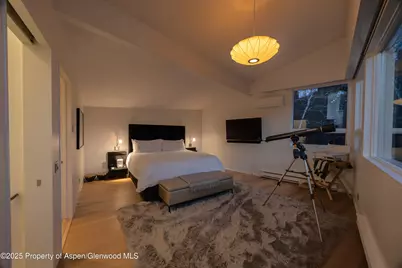 602 Mountain Laurel Drive, Aspen, CO 81611 - Photo 23