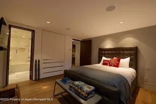 602 Mountain Laurel Dr, Aspen, CO 81611 - Photo 17