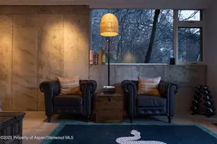 602 Mountain Laurel Dr, Aspen, CO 81611 - Photo 41