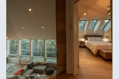 602 Mountain Laurel Drive, Aspen, CO 81611 - Photo 29