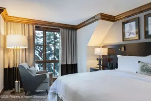 315 E Dean St, Aspen, CO 81611 - Photo 13