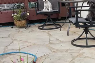 193 Barker St, Craig, CO 81625 - Photo 45