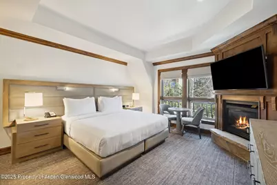 415 E Dean St, #35, Week 35, Aspen, CO 81611 - Photo 21