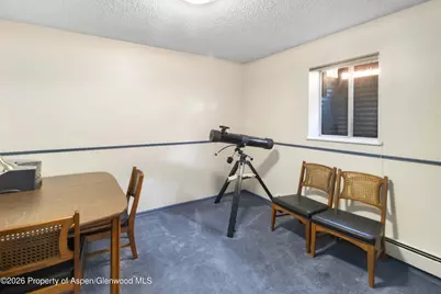 65 Vista Drive, Glenwood Springs, CO 81601 - Photo 21