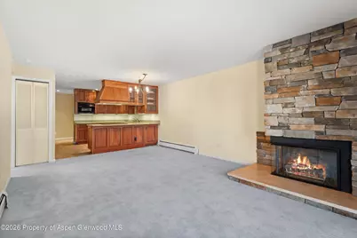 205 E Durant Avenue #1-F, Aspen, CO 81611 - Photo 3