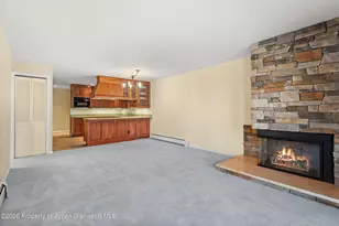 205 E Durant Ave, Aspen, CO 81611 - Photo 3