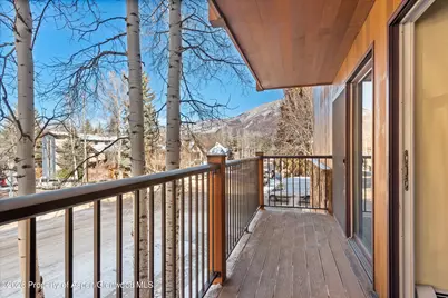 205 E Durant Avenue #1-F, Aspen, CO 81611 - Photo 7