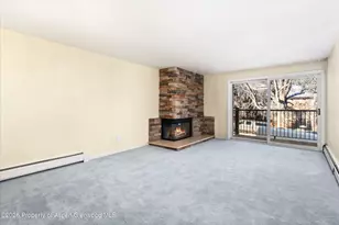 205 E Durant Ave, Aspen, CO 81611 - Photo 1